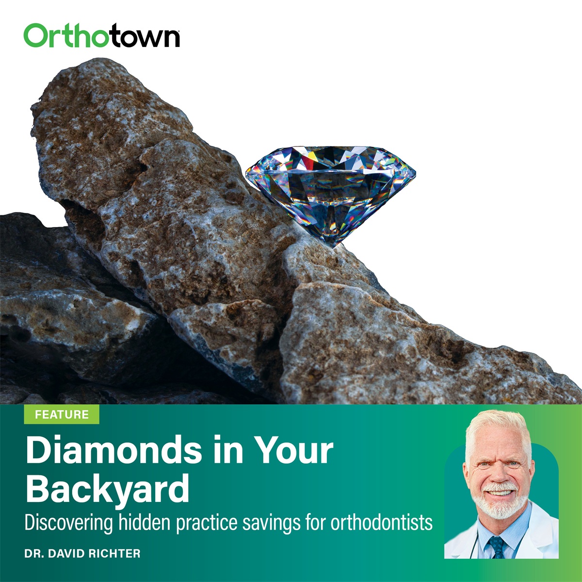 Diamonds In Your Backyard Dr. David Richter shares how to uncover “diamonds in your backyard” by cutting costs, boosting efficiency, and increasing practice profitability.