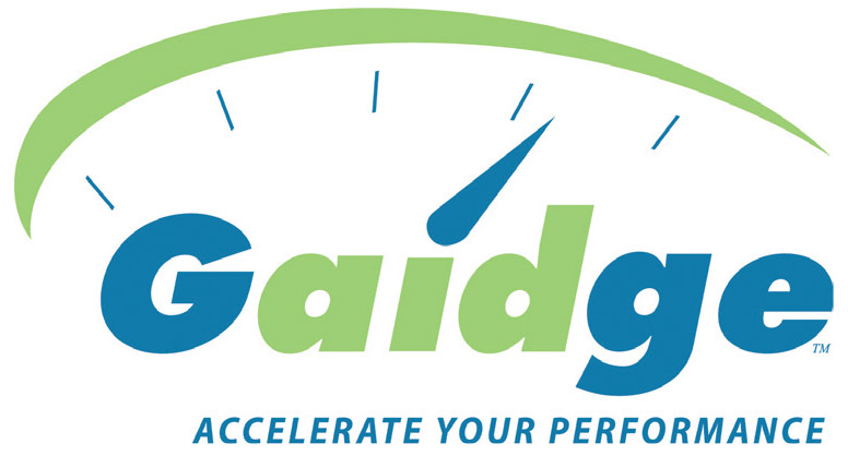 Gaidge Logo