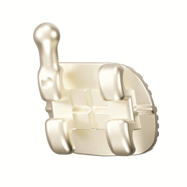 Aria Expressions Champagne Gold Brackets
