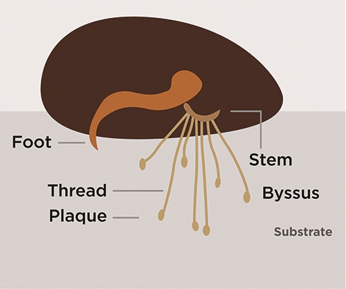 Industry Insights: The EtchFree Evolution
