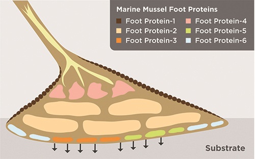Industry Insights: The EtchFree Evolution