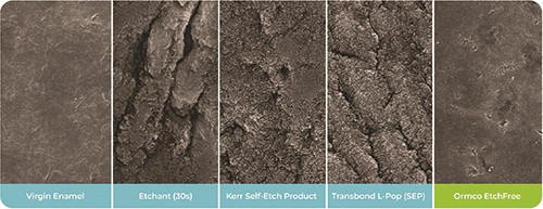 Industry Insights: The EtchFree Evolution